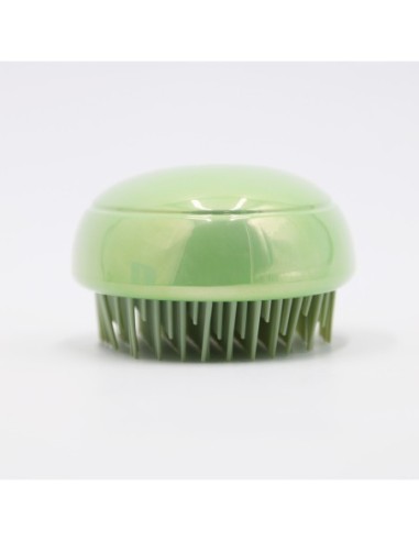 Brosse de Massage Portable (Verte)