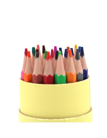 Crayons de Couleurs (24 Couleurs)